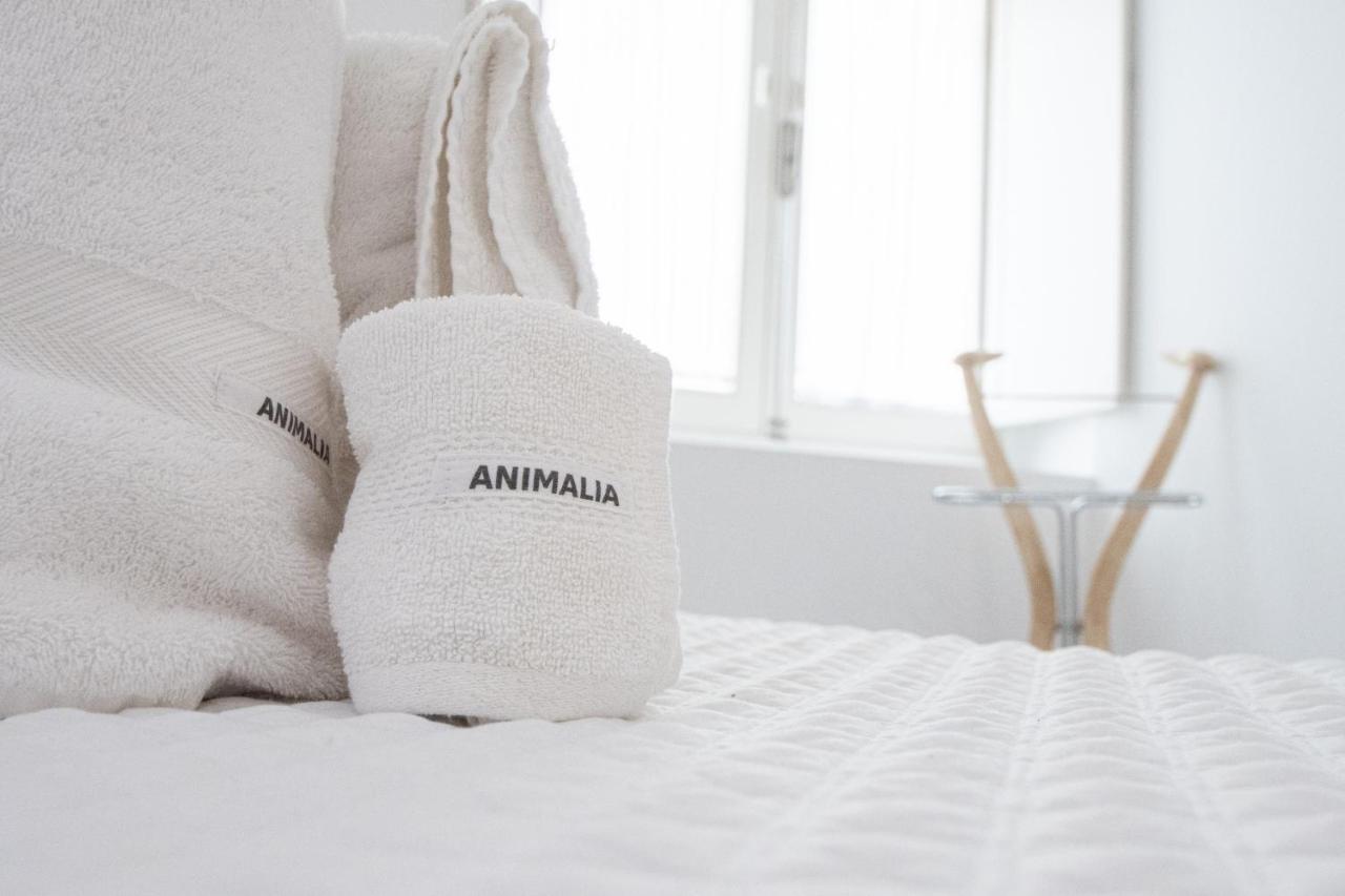 Apartamento Animalia Кадис Экстерьер фото
